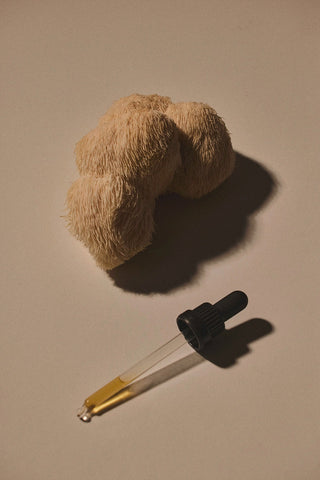 Discover the Power of functional mushrooms