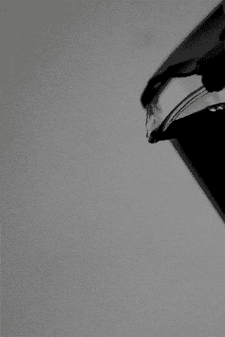 Close up of French Press pouring lupin coffee black and white