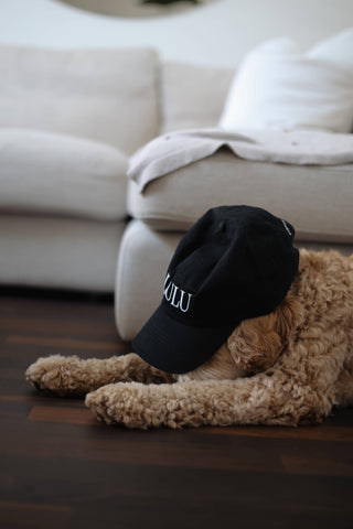 A beige dog sleeping in front of a sofa on a dark wooden floor wearing a black cap.