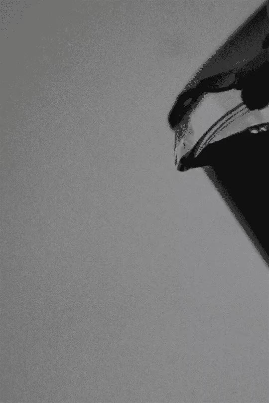 French press pouring lupin coffee as black and white close up